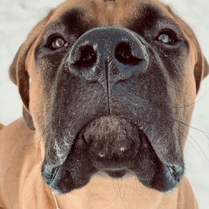 Meet your Posher, Sara